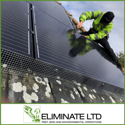 solar panel protection telford